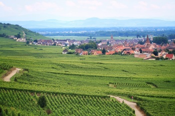 Route de vins d'Alsace